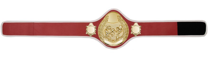 THAI BOXING CHAMPIONSHIP BELT-PRO301/G/TBOG- 10 + COLOURS THAI BOXING CHAMPIONSHIP BELT-PRO301/G/TBOG- 10 + COLOURS